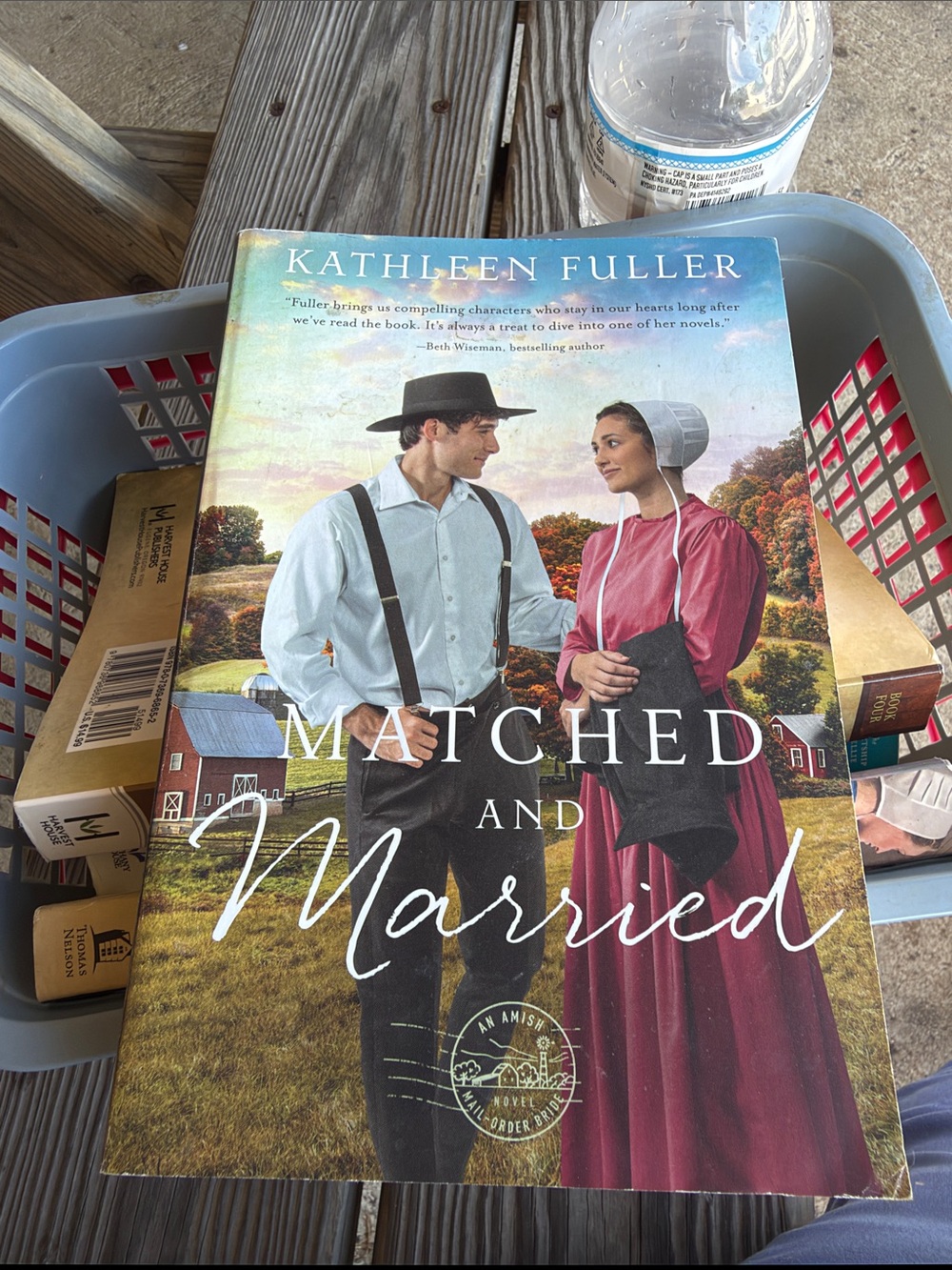 Amish books